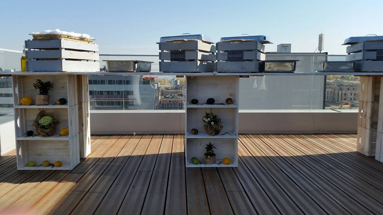 Фирмен обяд - Ficosota